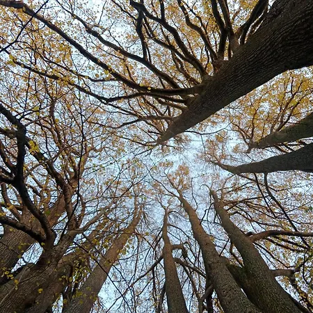 Apartmán Marcipánka